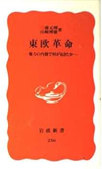 東欧革命: 権力の内側で何が起きたか (岩波新書 新赤版 256